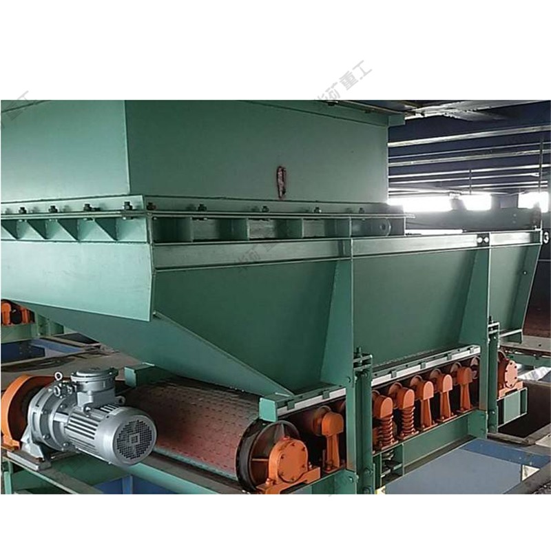 甲帶給煤機(jī) (5).jpg